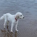 2 Bed In Wasdale Oc-sz077 Casa de Férias Santon Bridge