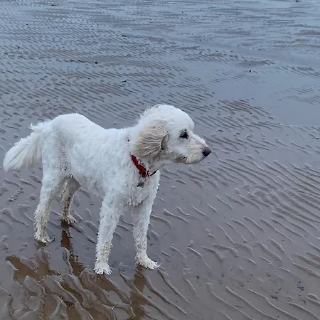 2 Bed In Wasdale Sz077 * Santon Bridge